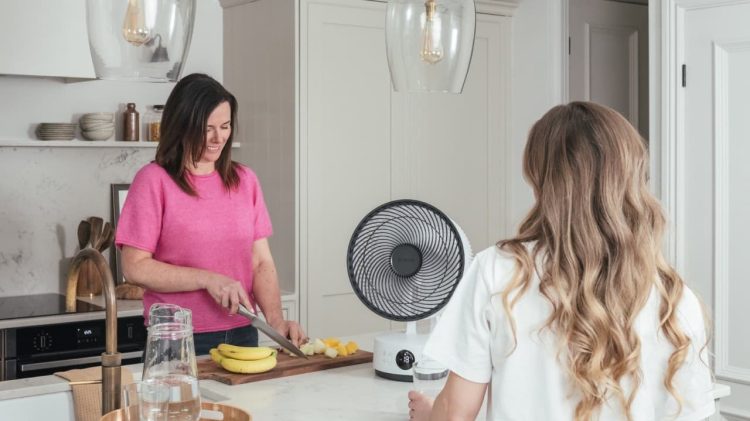 jak-vybrat-ventilator-meaco-sefte-10t-stolni